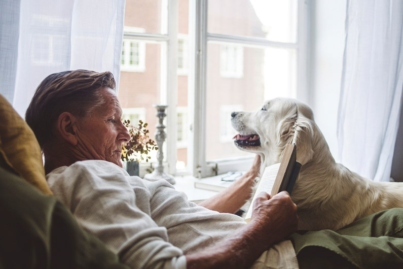 Man och hund